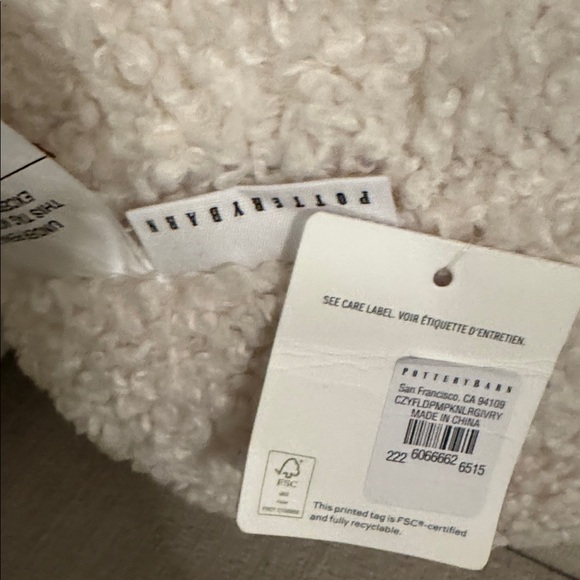 Pottery Barn Ivory Pumpkin Pillow - Picture 7 of 8